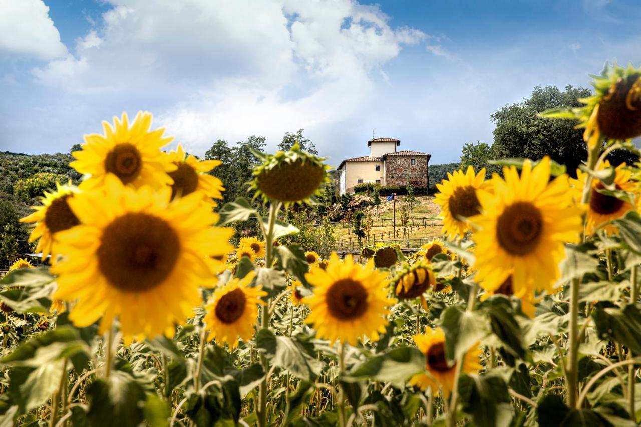 필리네발다르노 Palagina La Cascina 빌라 외부 사진