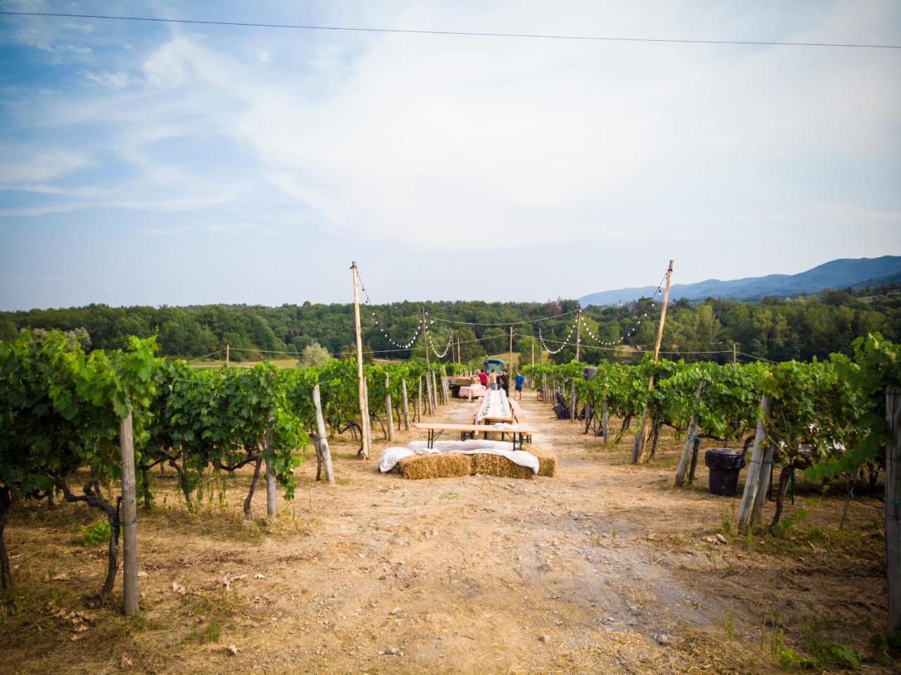필리네발다르노 Palagina La Cascina 빌라 외부 사진
