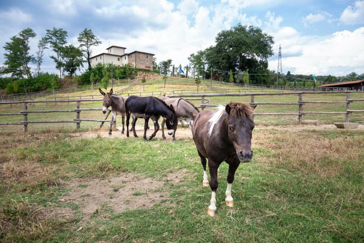 필리네발다르노 Palagina La Cascina 빌라 외부 사진